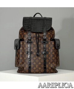 Replica Louis Vuitton Christopher Backpack N93491