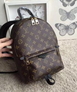 Replica Louis Vuitton Palm Springs Backpack PM M41560 BLV002 2