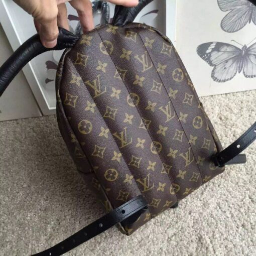 Replica Louis Vuitton Palm Springs Backpack PM M41560 BLV002 3