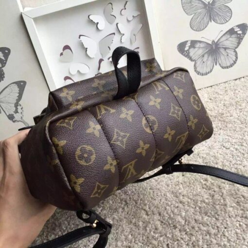 Replica Louis Vuitton Palm Springs Backpack PM M41560 BLV002 4
