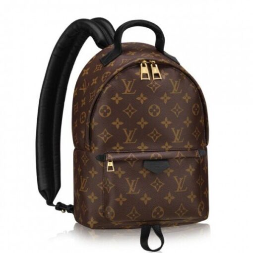 Replica Louis Vuitton Palm Springs Backpack PM M41560 BLV002