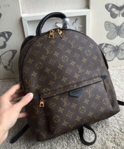 Replica Louis Vuitton Palm Springs MM Backpack M41561 BLV016 2