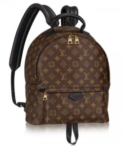 Replica Louis Vuitton Palm Springs MM Backpack M41561 BLV016