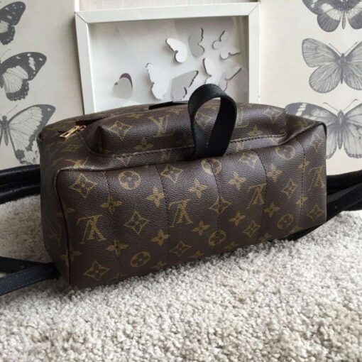 Replica Louis Vuitton Palm Springs MM Backpack M41561 BLV016 4
