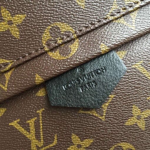 Replica Louis Vuitton Palm Springs MM Backpack M41561 BLV016 5