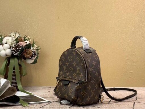 Replica Louis Vuitton Mini Palm Springs Backpack M44873 BLV008 2